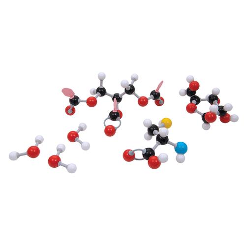 Organic Molecule Set D, molymod®, 1005278 [W19700], 분자 키트