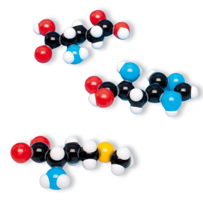 Amino Acid Kit, 8 Models, molymod®, 1005288 [W19712], 분자 모형