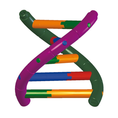DNA Double Helix Model, Student Kit, 1005300 [W19780], DNA 모형