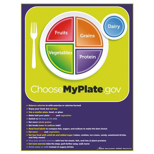 MyPlate Tear Pad with Food Group Tips, 1018321 [W44791TP], 비만 및 식이장애 교육