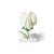 Pea Blossom (Pisum sativum), Model, 1000535 [T21026], 쌍떡잎식물 모형 (Small)
