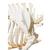 Domestic Pig Skeleton (Sus scrofa domesticus), Male, Specimen, 1020998 [T300131m], 농장 동물 (Small)