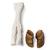 Bovine foot (Bos taurus), specimen, 1021063 [T300311], 골학 (Small)