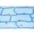 Plant cell - English Slides, 1003982 [W13053], 현미경 슬라이드 LIEDER (Small)