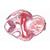 Frog Embryology (Rana) - English Slides, 1003985 [W13056], 현미경 슬라이드 LIEDER (Small)