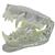 Canine Jaw Model-Clear, 1019592 [W33361], 치과 (Small)