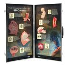 Consequences of Smoking, 3D Info Board, 1005580 [W43047], Tobacco Education
