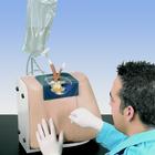 척추 주사 실습모형  Spinal Injection Simulator, 1005603 [W44031], 주사실습 및 천자