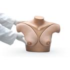유방 자가진단 시뮬레이터  Breast Self Examination Simulator, 1017548 [W45105], 부인과